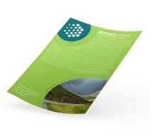 Business Flyers