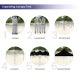 Blank Gazebo Marquee
