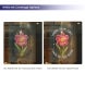 Clear Window Clings