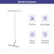 LT Banner Stands